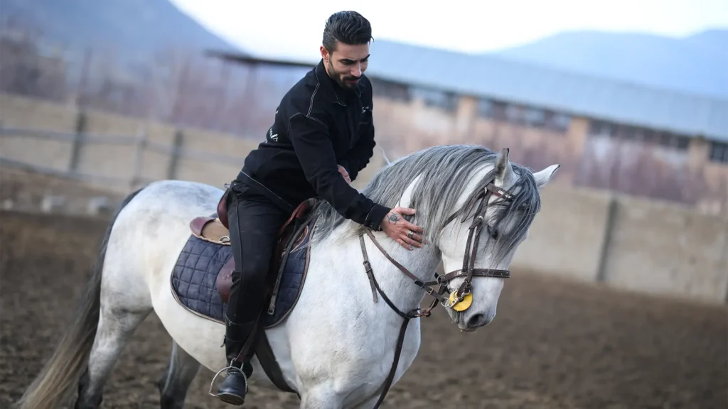 FardinSun - Horses wide img5