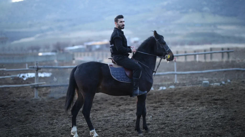 FardinSun - Horses wide img8